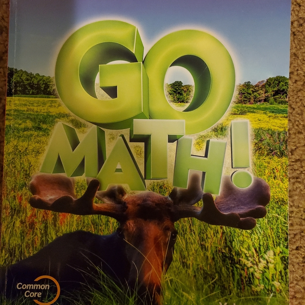 Go Math Education workbooks